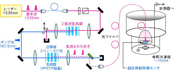 実験系の概要