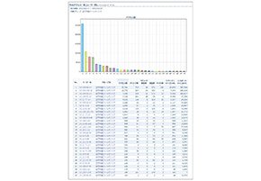 Webアクセスログ解析レポートの例