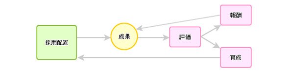 タレントマネジメントのフロー