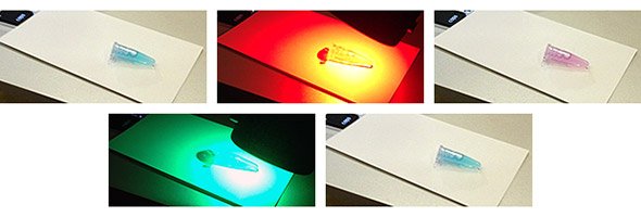 タンパク質の光スイッチングの例