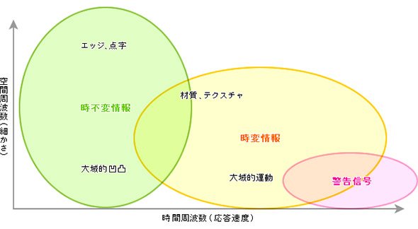 各機械受容器の役割分担
