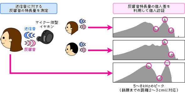 耳音響認証技術