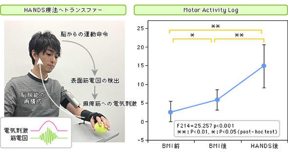 HANDS療法とBMI療法の併用
