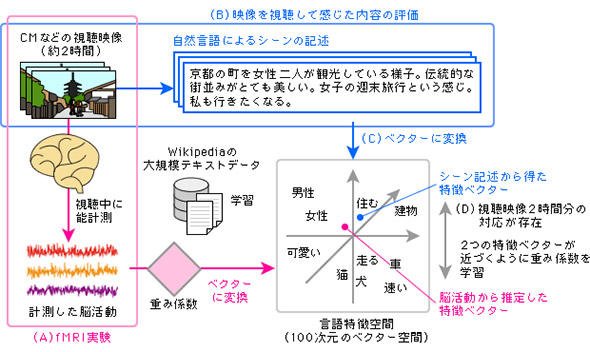 fMRI脳情報デコーディングの方法の概念図