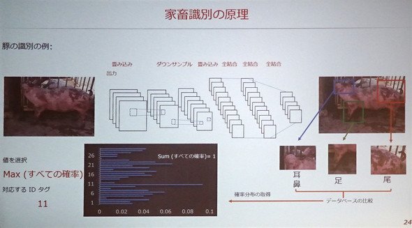 図12　家畜の画像処理