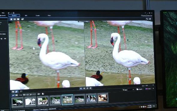 Gigapixel AIの画質補正。左がHD画質。AIによる補完によって、描画が甘かった画像の画質を右の4Kクオリティ画質に補完しているのが見て取れる