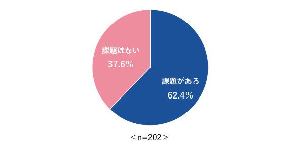 図3 Excelへの課題の有無
